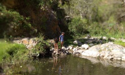 IMG_20220403_112748